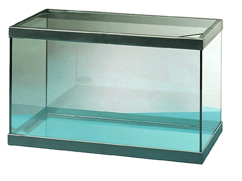 бђ Peceras Grandes в Tienda Online De Peceras в Ideas Guias Y Mгўs